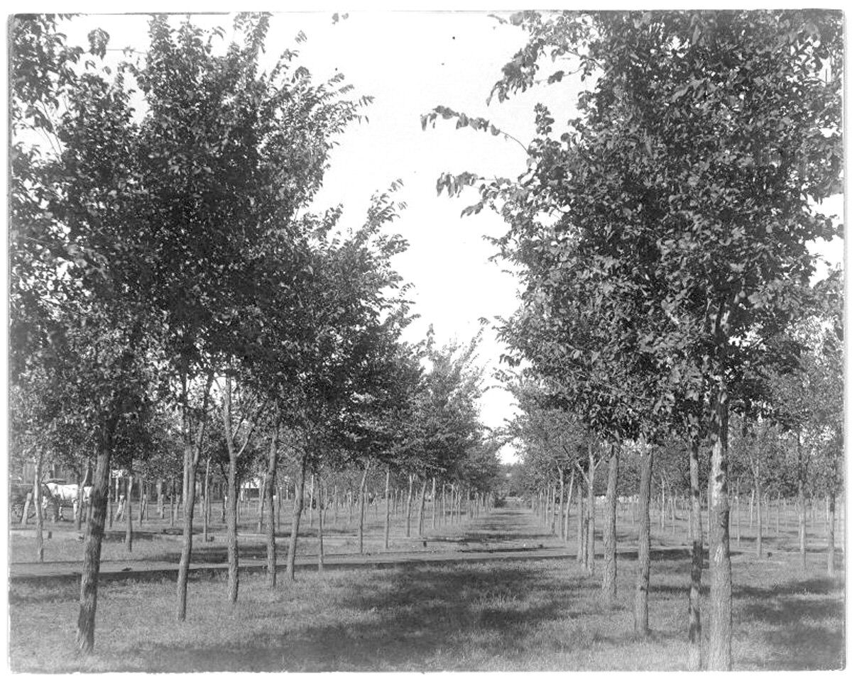 Cherokee Strip